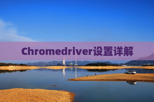 Chromedriver设置详解 Chromedriver设置详解
