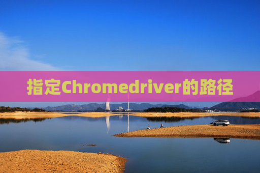 指定Chromedriver的路径