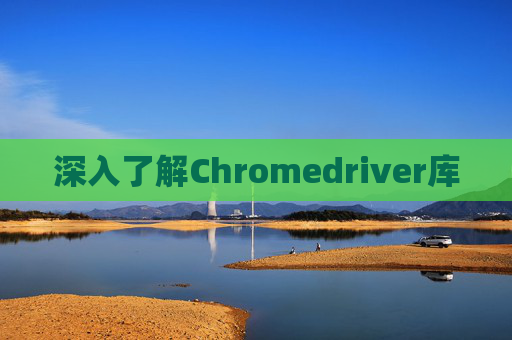 深入了解Chromedriver库