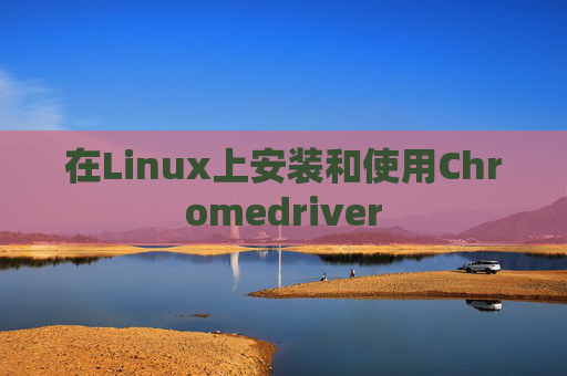 在Linux上安装和使用Chromedriver
