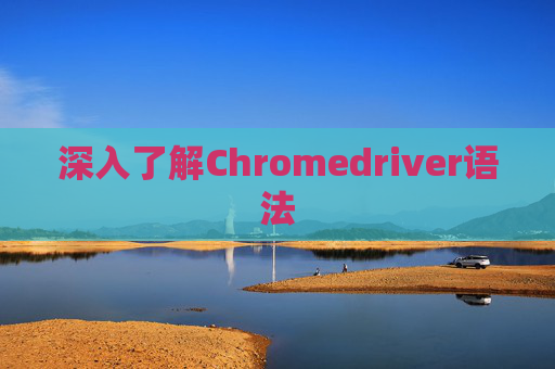 深入了解Chromedriver语法